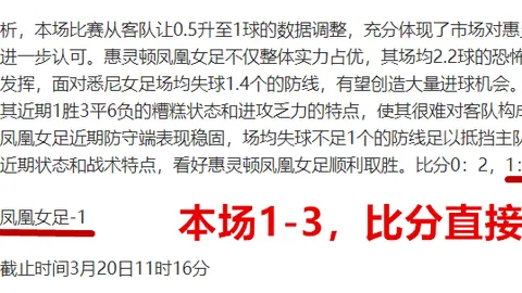 什琴斯尼续约前景光明：双方均感满意，续约进展顺畅